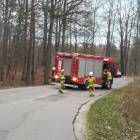 Fotka nr 1 z 20
