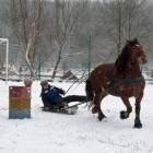 zdjęcie nr 9
