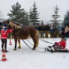 zdjęcie nr 10