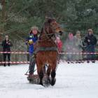 zdjęcie nr 19