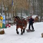 zdjęcie nr 24