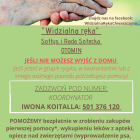 zdjęcie nr 33