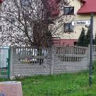 zdjęcie nr 8