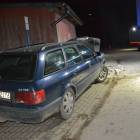 Fotka nr 3 z 19