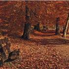 II miejsce - 