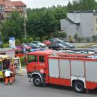 Fotka nr 5 z 7