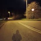 Fotka nr 5 z 9