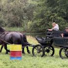 zdjęcie nr 18