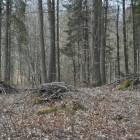 zdjęcie nr 14