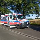 Fotka nr 2 z 21