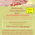 zdjęcie nr 31
