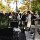 zdjęcie nr 40