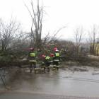 fot. nadesłane/OSP Goręczyno