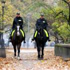 Z widokiem policjantów na koniach zdążyli się już oswoić m.in. warszawiacy /fot....