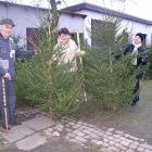 Świąteczne drzewko ogląda Danuta Kamińska /fot. l.t.