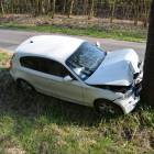 zdjęcie nr 9