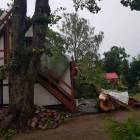 Fotka nr 5 z 10