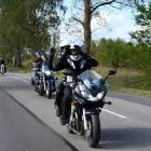 zdjęcie nr 275