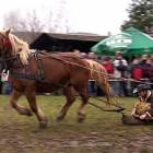fot. Ania Frankowska -  Express Kaszubski 