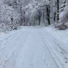 Fotka nr 0 z 4