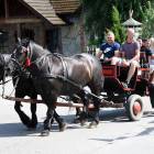 zdjęcie nr 97