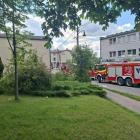 zdjęcie nr 33