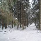 Fotka nr 5 z 21