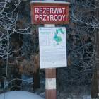 zdjęcie nr 10