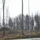 zdjęcie nr 28
