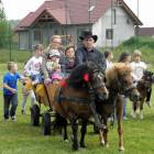 zdjęcie nr 18