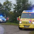 Fotka nr 3 z 13