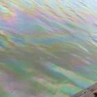 fot. J.L.