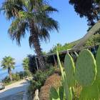 zdjęcie nr 40