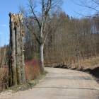 zdjęcie nr 31
