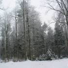 zdjęcie nr 13