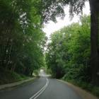 zdjęcie nr 7