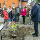 zdjęcie nr 14