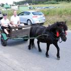 zdjęcie nr 74