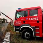 Fotka nr 5 z 8