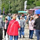 zdjęcie nr 91