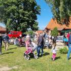 zdjęcie nr 13