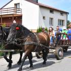 zdjęcie nr 74