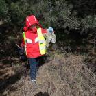 zdjęcie nr 34