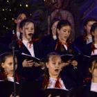 zdjęcie nr 24
