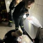 Fotka nr 1 z 10