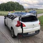 Fotka nr 2 z 8