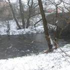 zdjęcie nr 20