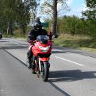 zdjęcie nr 260