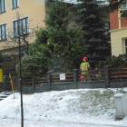 zdjęcie nr 8