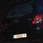 Fotka nr 5 z 19